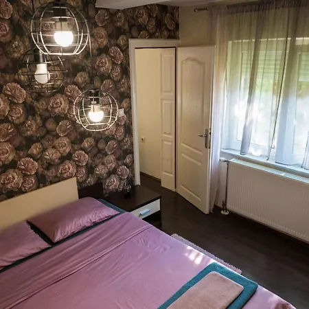 Gajic & Milini Apartment