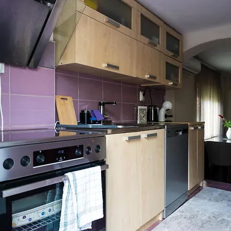 Apartment Gajic & Milini *